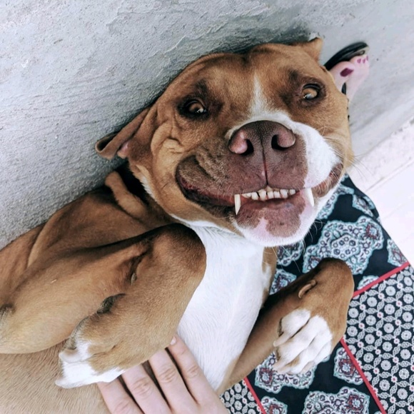 sshleef